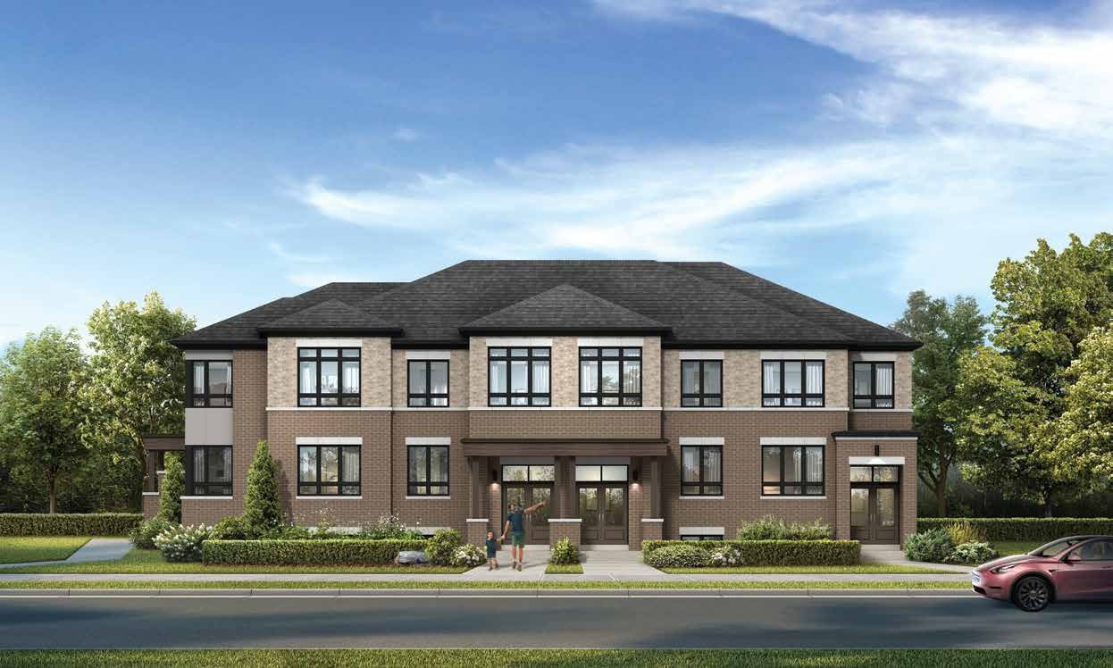 Seaton Winding Woods - Sapphire